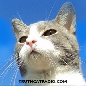 Truth Cat Radio Videos