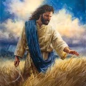 Brother Hebert Presents