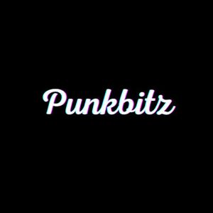 Punkbitz