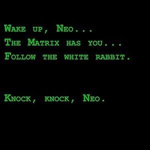 Follow the White Rabbit