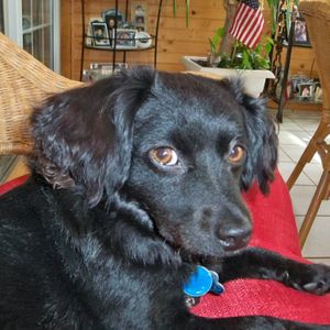 Pass Actuarial Exams