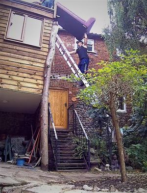 The Transporter Norwich