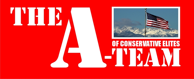 THE CONSERVATIVE ELITE NETWORK