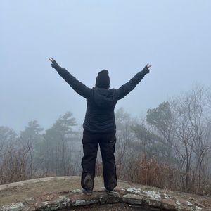 Planting The Seeds 101