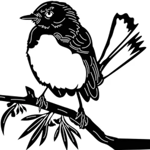 Wagtail Dreaming Productions