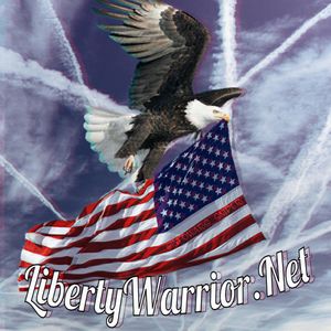 Liberty Warrior