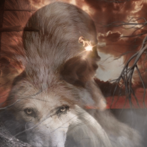 Inspiring & Info GIF Videos.