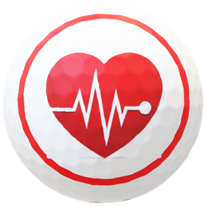 Your Health : Your Life