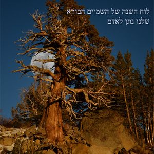 The Creators Calendar