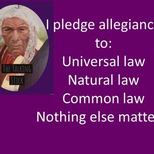 Self Preservation Society BBTT