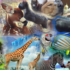 Contending For The Faith