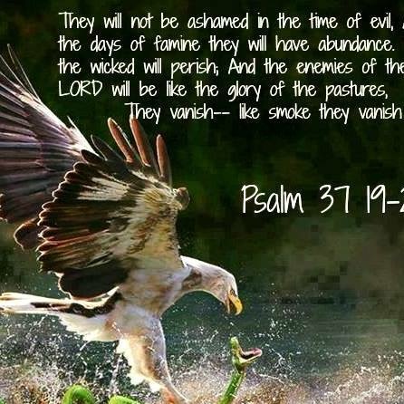 Jake’s freedom outpost.