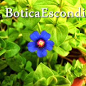 La Botica Escondida