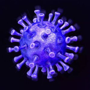 Pandemic Scam DATABASE