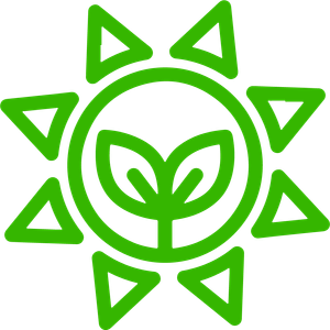 Essential Energy (EMF SAFETY)