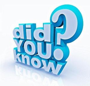 Interesting Facts