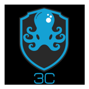 3C