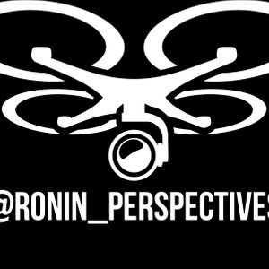 ronin_perspectives