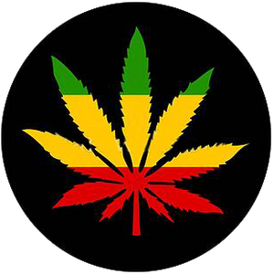 Cannabis and Marijuana