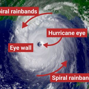 RedPillWarriorHumanRep