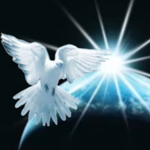 Silver Dove