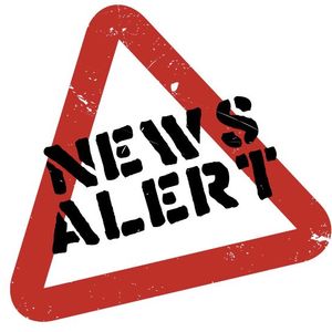 NEWS365