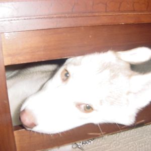 Rainbows and Unicorns