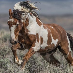 The Writing on the Wall