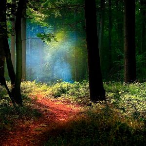 The Least Of All Creation