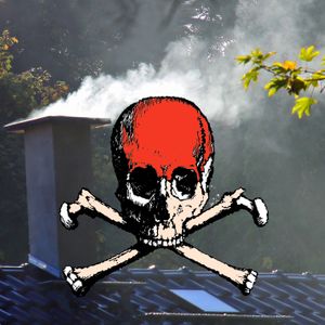 Wood Smoke Poisoning