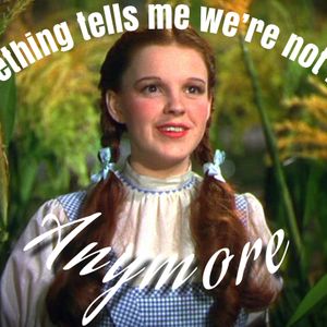 The Outsider by Jackie