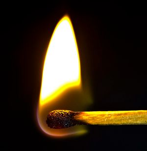 Die Wahrheit Über Die NWO