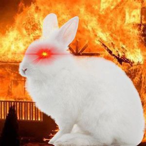 Bunny the Scampyre Slayer