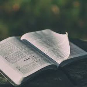 Yah's Assembly in the Way