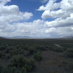 High Desert Homestead