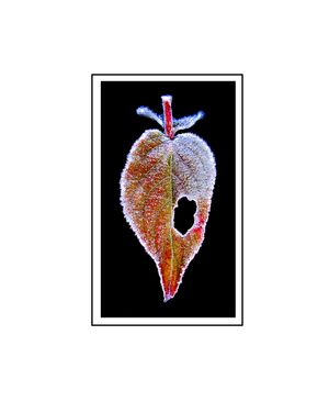 The Underclass Guy Reposted