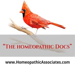 The Homeopathic Docs