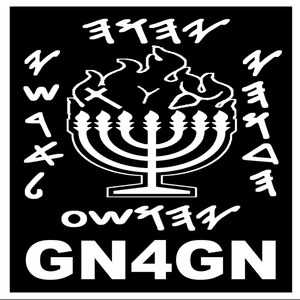 GN4GNtv