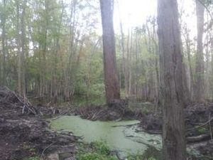 ForgottenmanMichigan