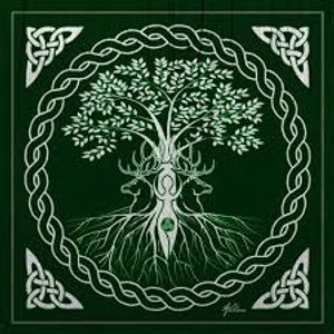 The European New Zealander