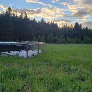 Adventures in reality