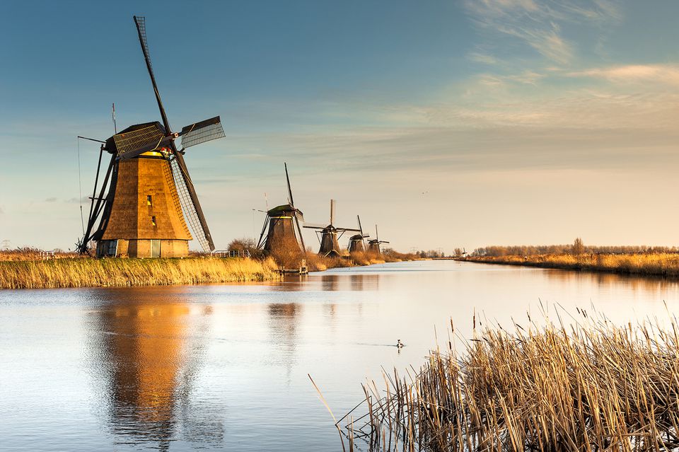 Make Netherlands Great Again!