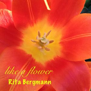Rita Bergmann Wish Songs