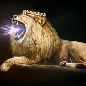 Just Praise Him Today