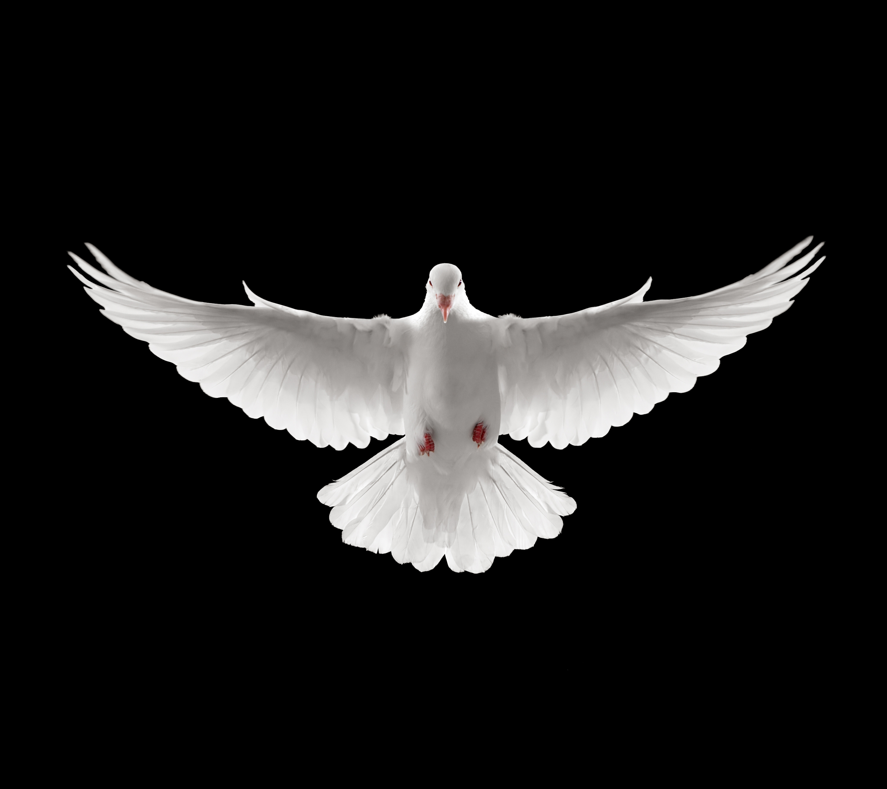 Spirit of Truth