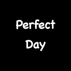 The Perfect Day