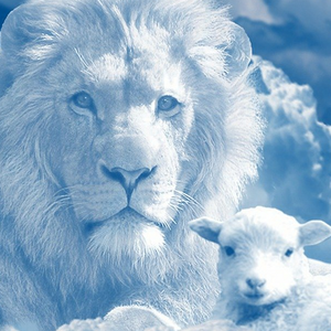 Shepherds Chapel Bible Studies