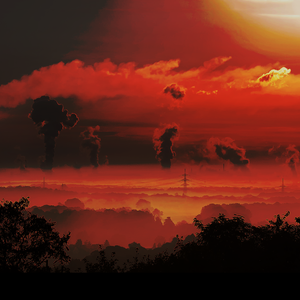 The Collective Consciousness