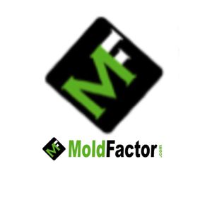 Mold Factor - Erik Johnson