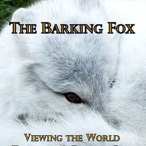The Barking Fox